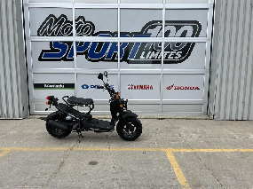 Honda Scooter Ruckus 50cc 2024