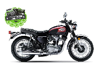 Kawasaki W800 2024