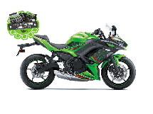 Kawasaki Ninja 650 KRT 2024