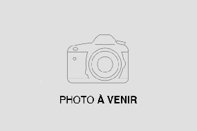 Polaris Slingshot Roush Edition (AutoDrive) 2024