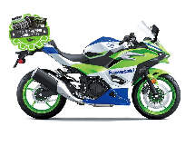 Kawasaki NINJA 500 SE 40e anniversaire 2024