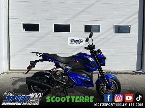 Scootterre SCOOTER AR50 - 50 CC - AR 50 -AR-50 2022