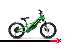 Kawasaki Elektrode 2025