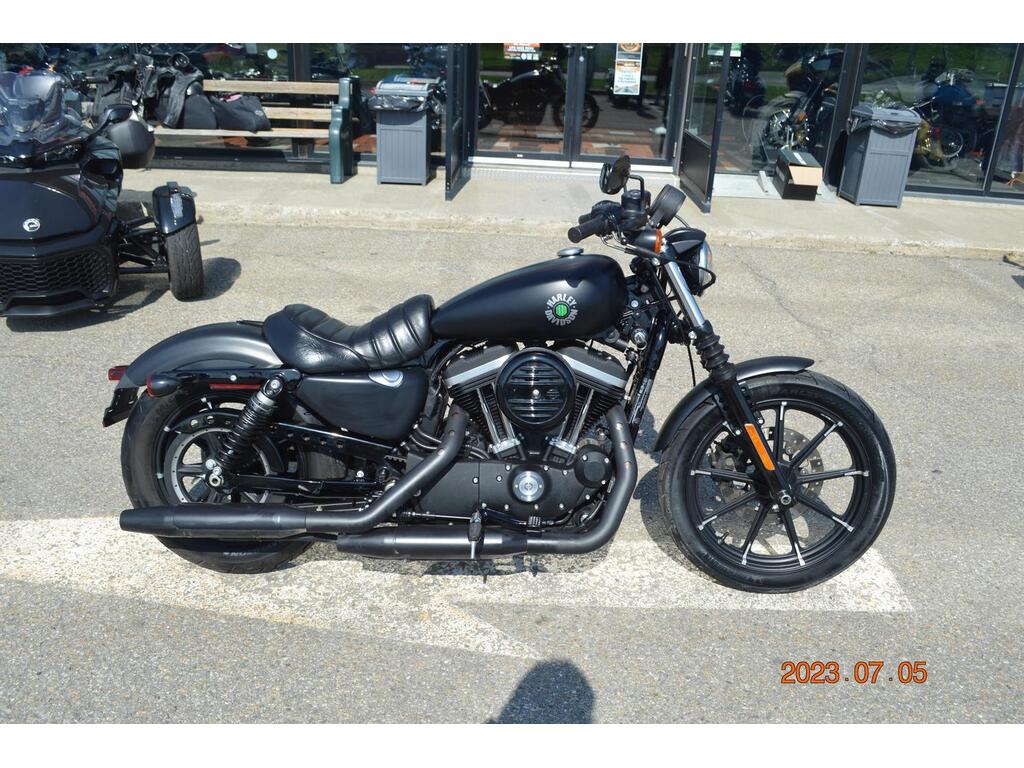 Harley-Davidson XL883N 2019