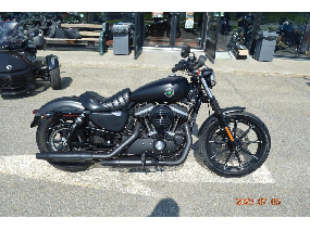 Harley-Davidson XL883N 2019