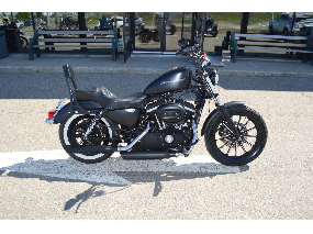 Harley-Davidson XL883N 2009