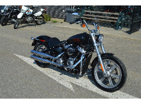 Harley-Davidson FXST Softail 2024