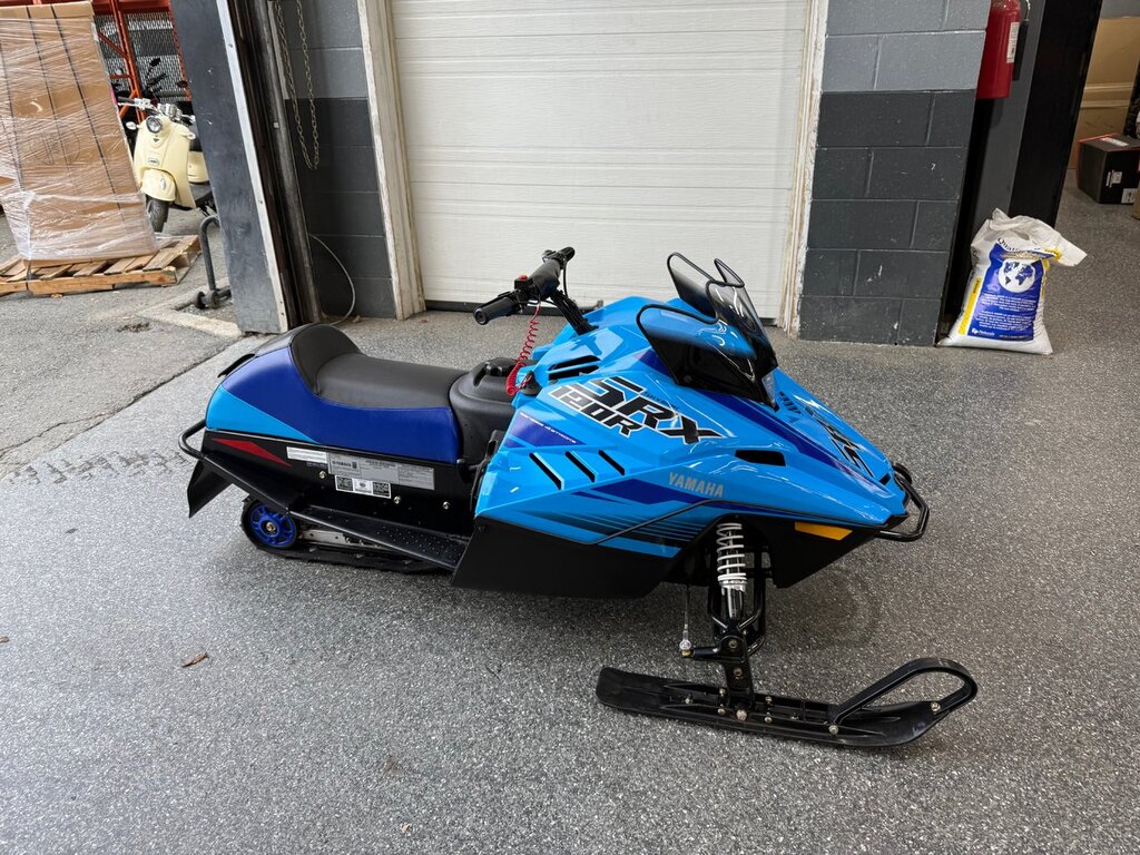 Yamaha SRX 120 2021