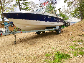 2008 bayliner 195 discovery