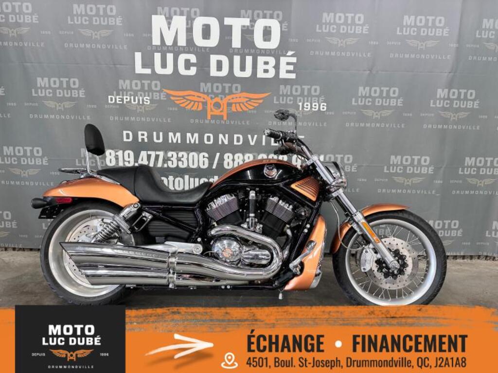 Moto routière - Moto cruiser Harley-Davidson VRSCA V-Rod 2008 à vendre