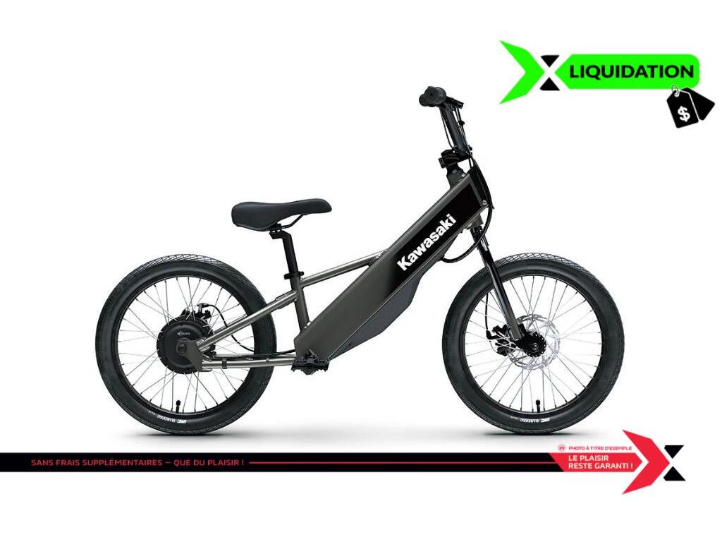 Moto routière/cruiser Kawasaki  2025 à vendre