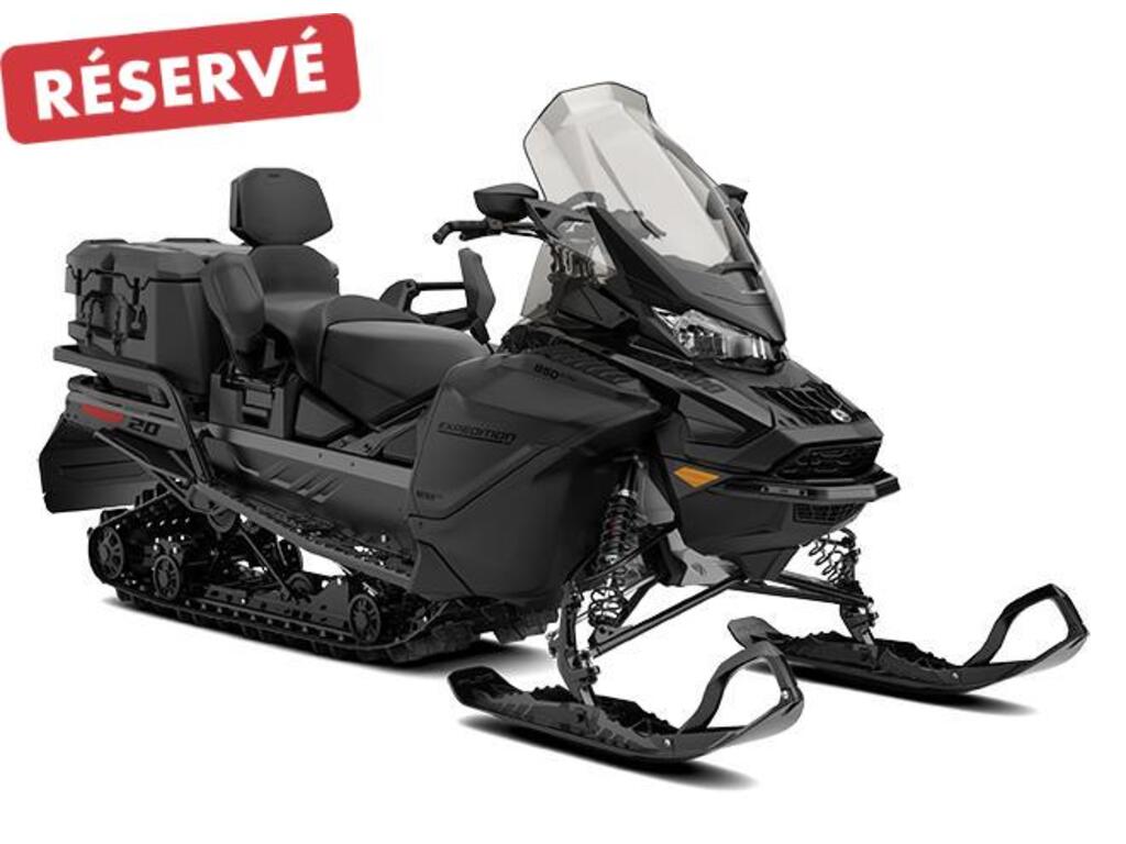 Snowmobile Ski-Doo  2025 à vendre