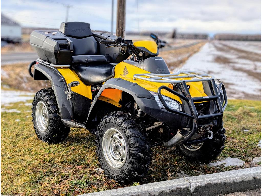 VTT Quadriporteur Honda TRX 650 2004 à vendre