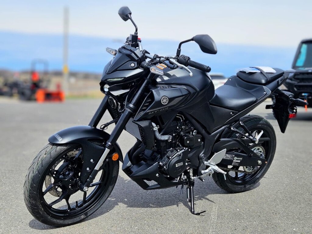 Motorcycle Tourism Yamaha  2024 à vendre