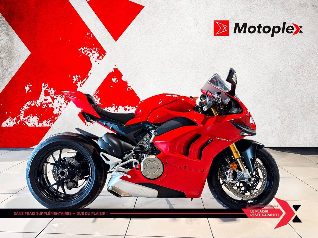 Road Bike and cruiser motorcyle Ducati  2020 à vendre