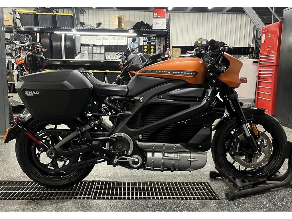 Moto routière/cruiser Harley-Davidson 2020 à vendre