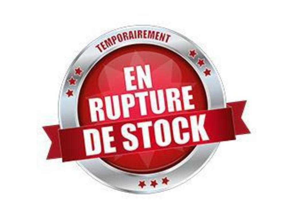 Motocross Apollo Motors  2023 à vendre