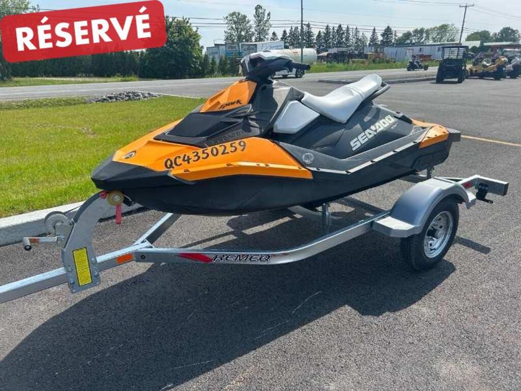 Watercraft Sea-Doo  2014 à vendre