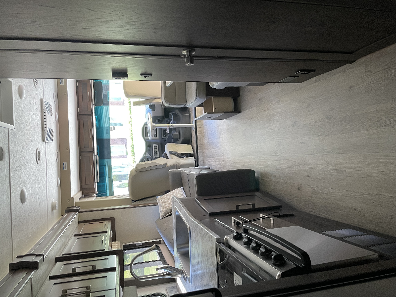 VR Classe A Coachmen Pursuit 29SS 2019 à vendre