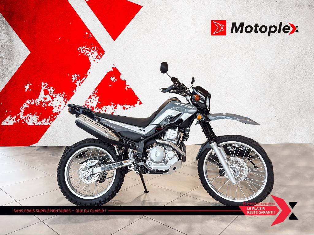 Moto routière/cruiser Yamaha 2024 à vendre
