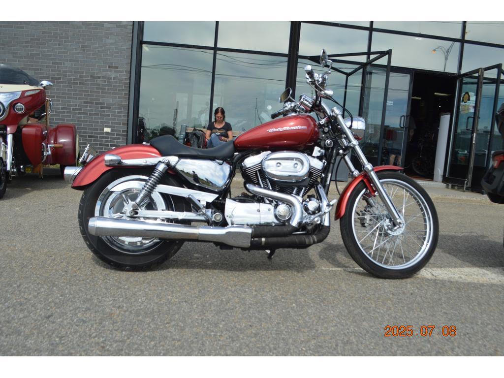 Road Bike and cruiser motorcyle Harley-Davidson  2004 à vendre