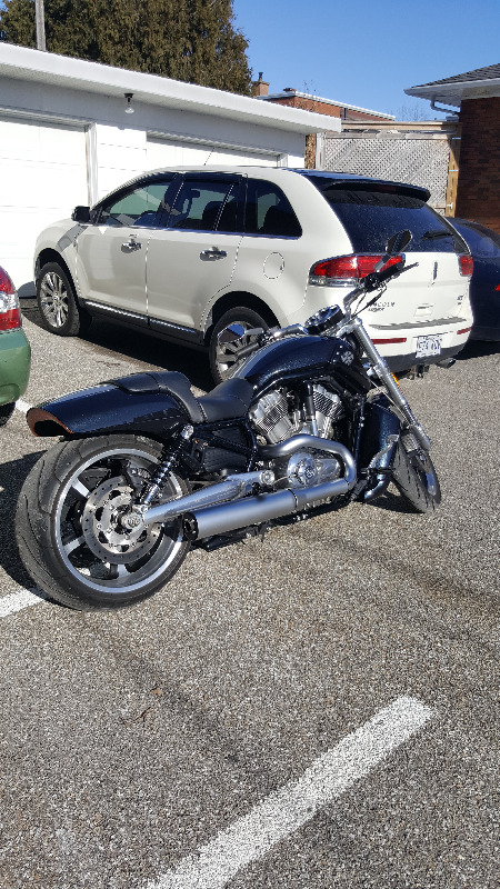 Moto Harley-Davidson V-Rod Muscle 2013 à vendre